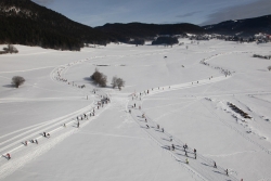 La Foulée Blanche 2016