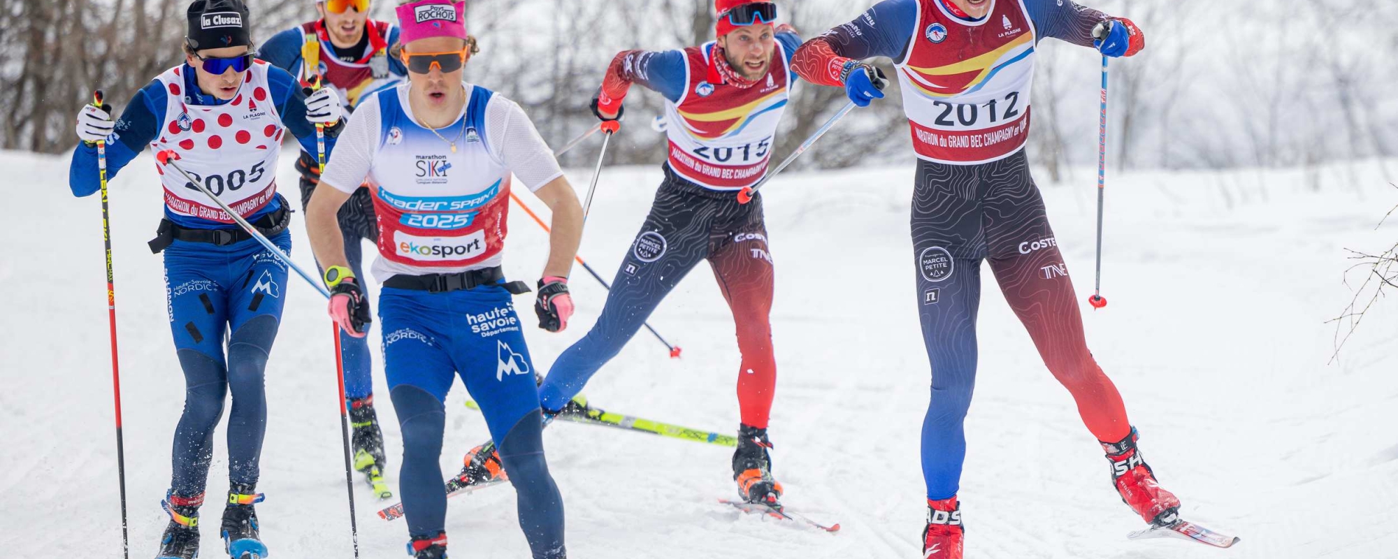 Le Grand Bec annulé